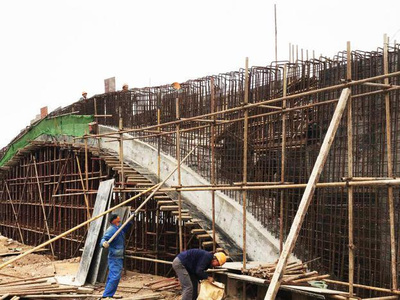 東湖綠道二期湖澤道五橋主體落成，再添城市生態(tài)新廊道